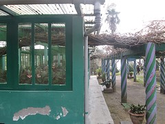 Botanische tuin Darjeeling