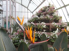 Botanische tuin Darjeeling