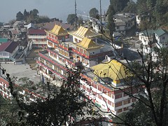 Darjeeling