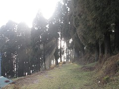 Darjeeling