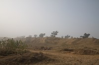 Het landscahp rond Bikaner