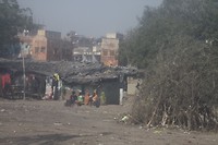 Krotten langs het spoor (raam is nogal vies)