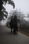 De olifant op weg naar het werk
