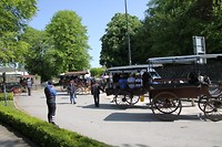 Koetsjes voor door de stad