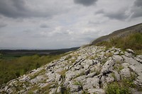 Lime stone uniek gebied