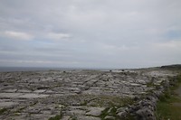 Lime stone