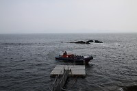 De boot naar de haaien