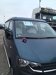 Moosey in Zeebrugge