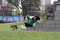 Het is hard werken met die honden ,,, nou hard..