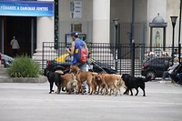 Doggie is niet alleen in Recoleta maar ook in andere buurten beschikbaar