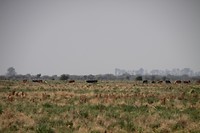 Ruimte veel ruimte