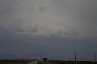 Goed kijken, op de achtergrond de besneeuwde Andes aan de rand van het dal