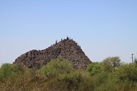 Cactus op de heuvel (nou heuvel, je zal haar maar moeten beklimmen)