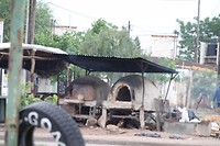 Brood of pizza ovens?