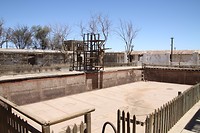 IMG_9937