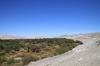 IMG_9911