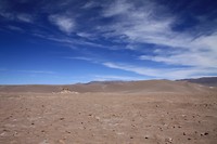 IMG_9881