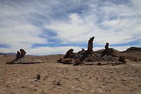 IMG_9880