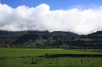 Groen op de grens