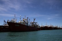 Inktvisschip aan de kade