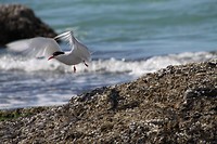 IMG_0404