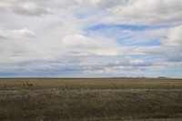 Zuidelijke landschappen en luchten, in de verrrrrrrte niets
