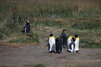 IMG_0541