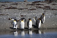 IMG_0550