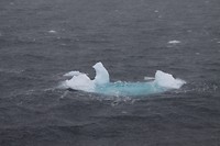 IMG_0843