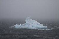 IMG_0846