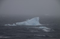 IMG_0855