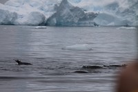 IMG_0887