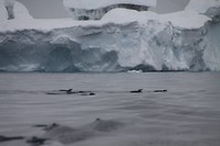 IMG_0893