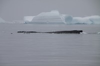 IMG_0928