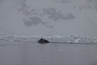 IMG_0937