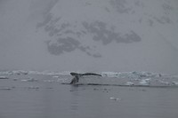 IMG_0938
