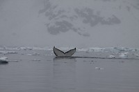 IMG_0940