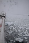 IMG_1079