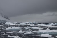IMG_1113