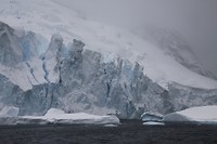 IMG_1121