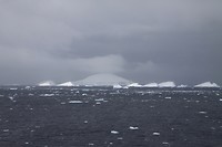 IMG_1174