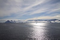 IMG_1216