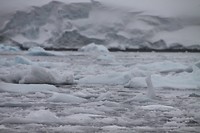IMG_1324