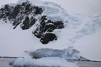 IMG_1356