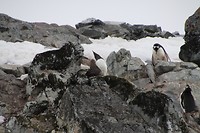 IMG_1383