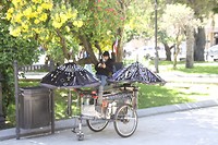 Mobiele handel, maar ook wel appen onder de boom