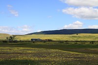 Geel kleurt het land in de zomer van Patagonie