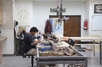 Werkplaats paleontologisch instituut