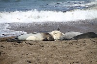 FF uitrusten op de playa