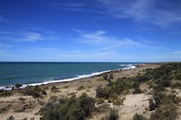 Zeeleeuwenstrand